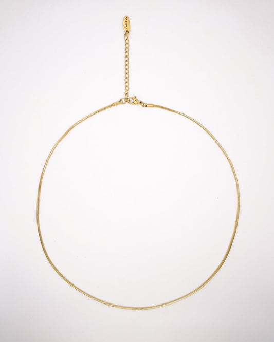 Avi Jade Necklace