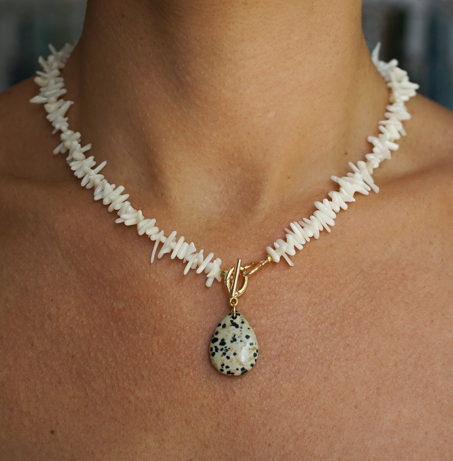 Coral interchangeable