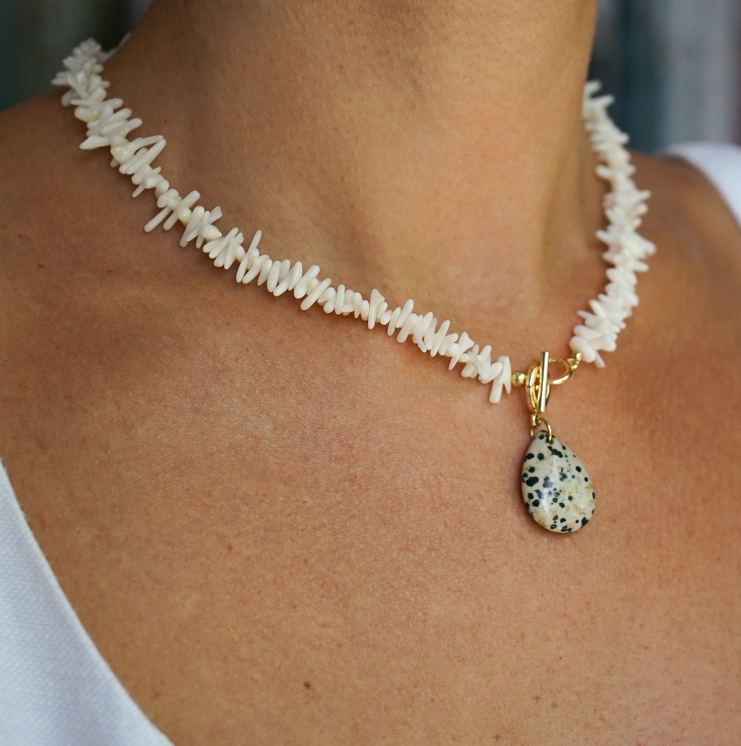 Coral interchangeable